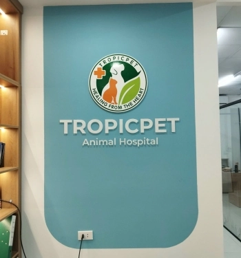 Alu ốp vách logo chữ nổi